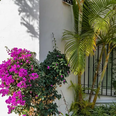 Casablanca 31 Oasis * Nerja