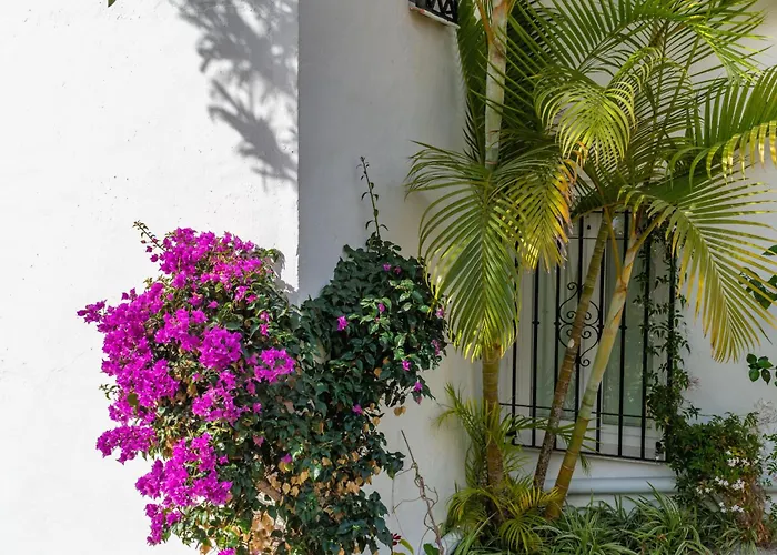 Casablanca 31 Oasis * Nerja