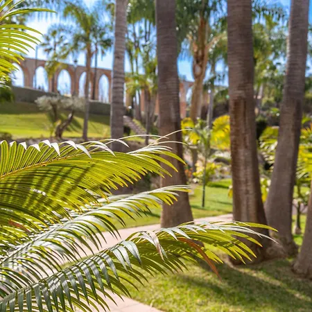 Casablanca 31 Oasis *