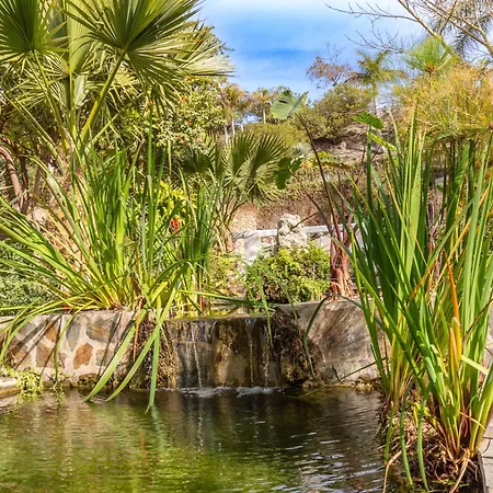 Lägenhet Casablanca 31 Oasis Nerja