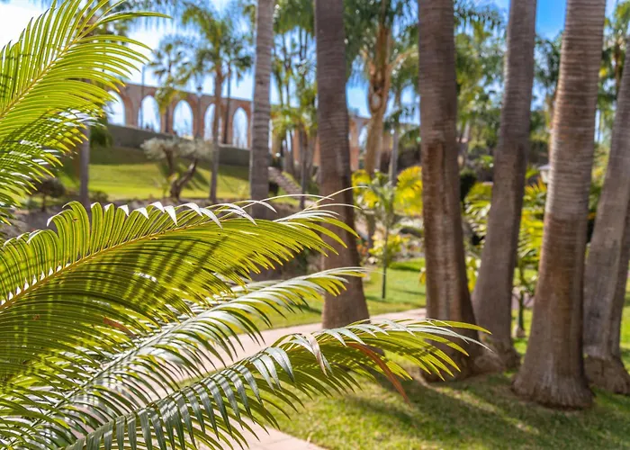 Casablanca 31 Oasis *