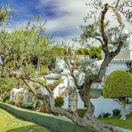 Casablanca 31 Oasis *