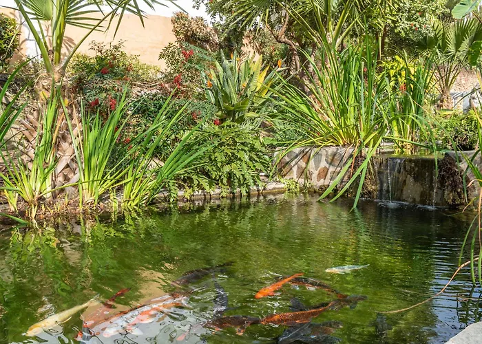 Lägenhet Casablanca 31 Oasis *